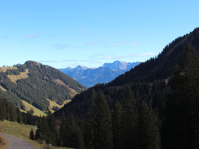 Obermaiselstein 2016 (6)